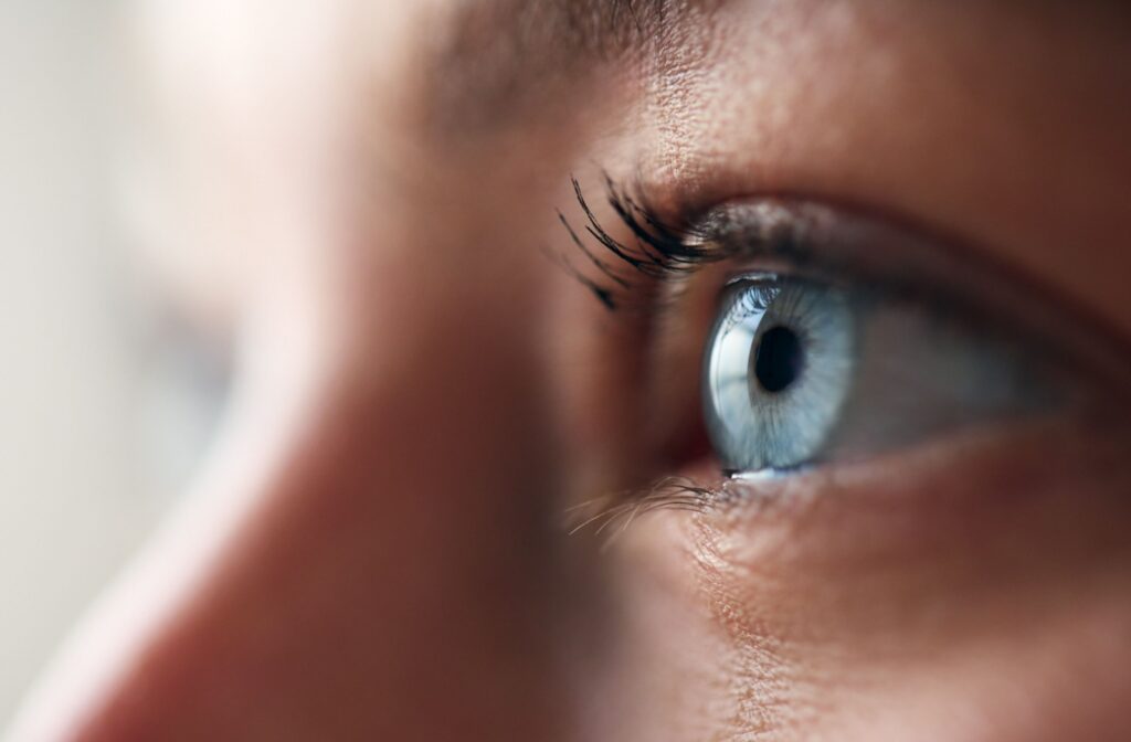Close-up of a blue eye with detailed iris and eyelashes.